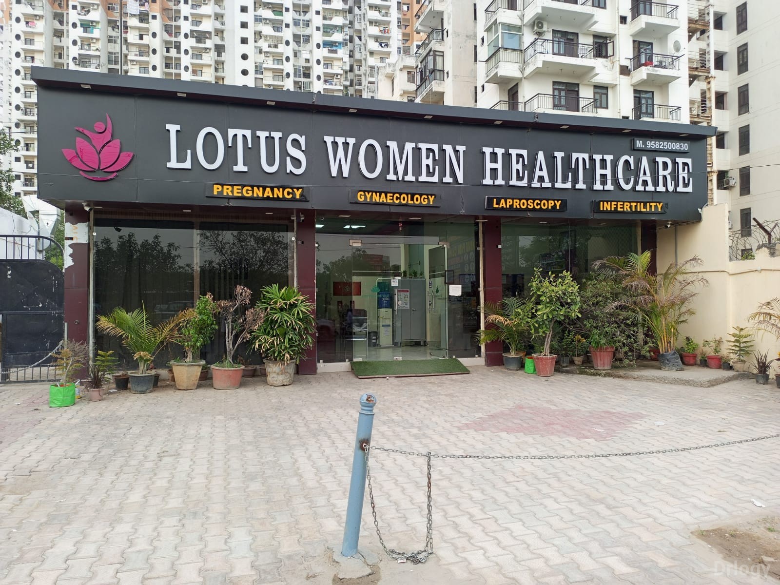 Lotus women healthcare
