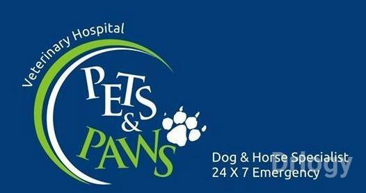 Pets & Paws Veterinary Hospital in Ahmedabad Pets & Paws Veterinary Hospital in Ahmedabad