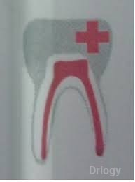 Shivani Dental Speciality Clinic & Endodontics Research Centre in Bangalore