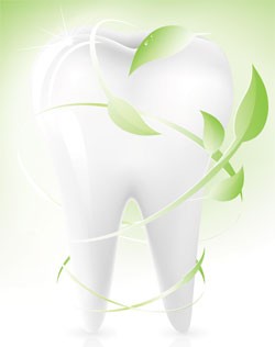 Shubham Dental Care & Implant Clinic in Ahmedabad