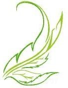 Tender Dental & Health Care in Bangalore Tender Dental & Health Care in Bangalore