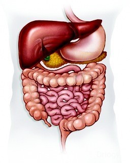 The Laser Gastroenterology Clinic in Chennai