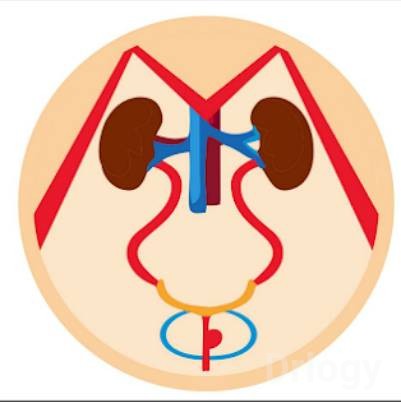 Uday Urology Clinic in Lucknow Uday Urology Clinic in Lucknow