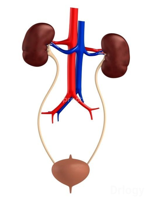 Urology Clinic in Faridabad
