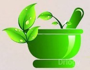 Yogis Ayurveda in Ludhiana