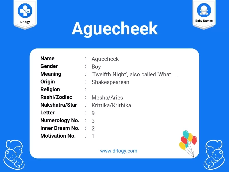 Aguecheek Name Meaning