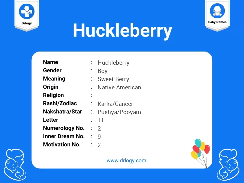 Huckleberry Name Meaning