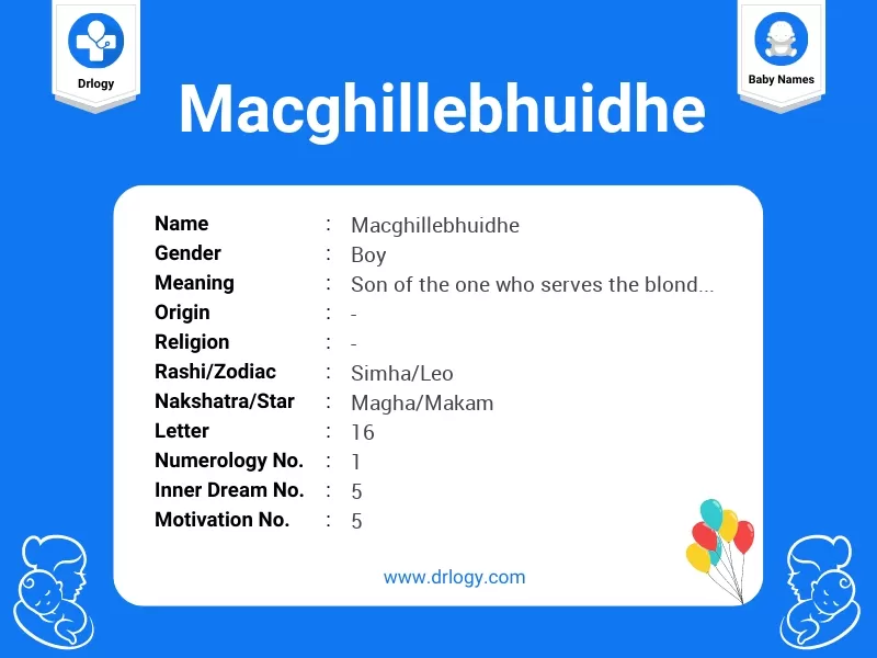 Macghillebhuidhe Name Meaning