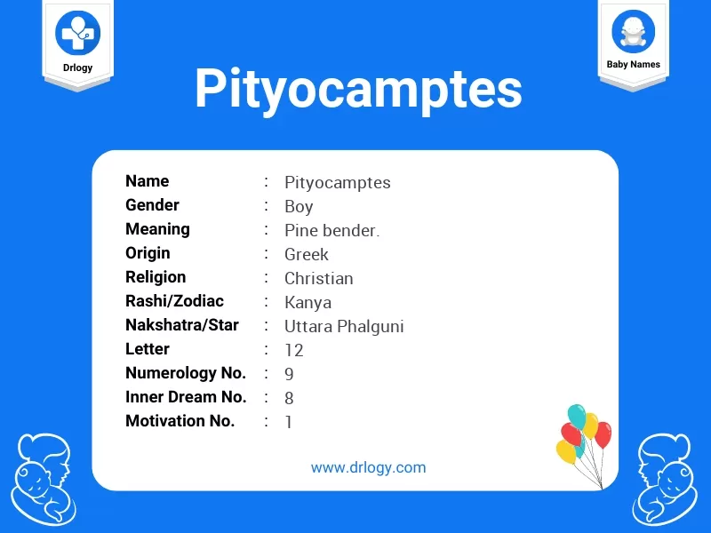 Pityocamptes Name Meaning