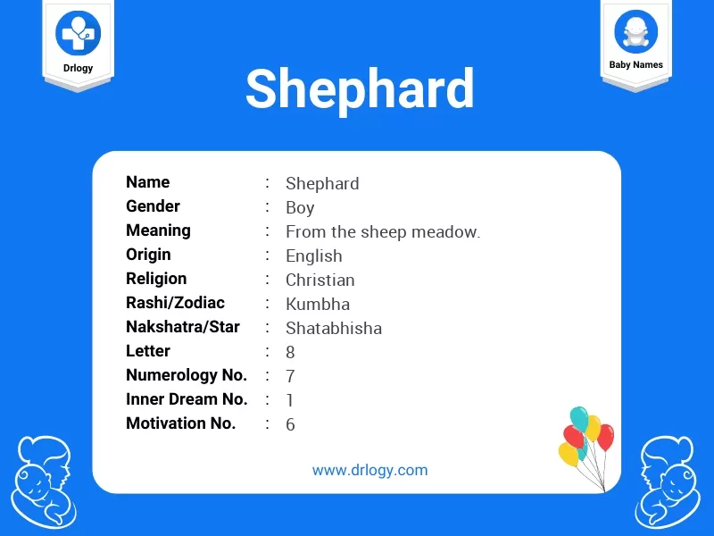 Shephard Name Meaning