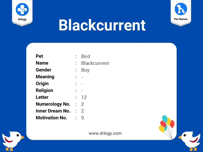 Blackcurrent Name Meaning