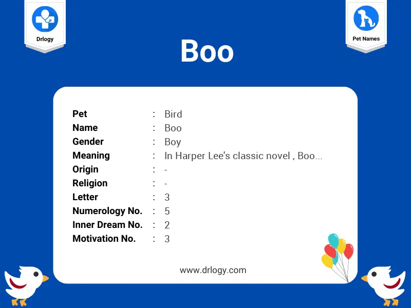 Boo Name Meaning