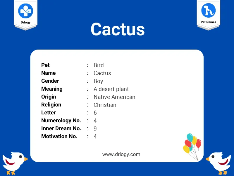 Cactus Name Meaning
