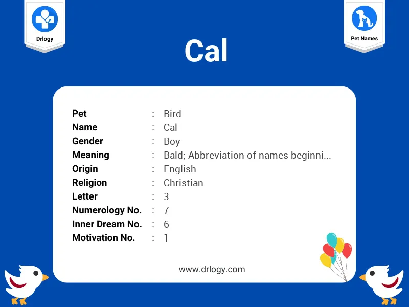 Cal Name Meaning