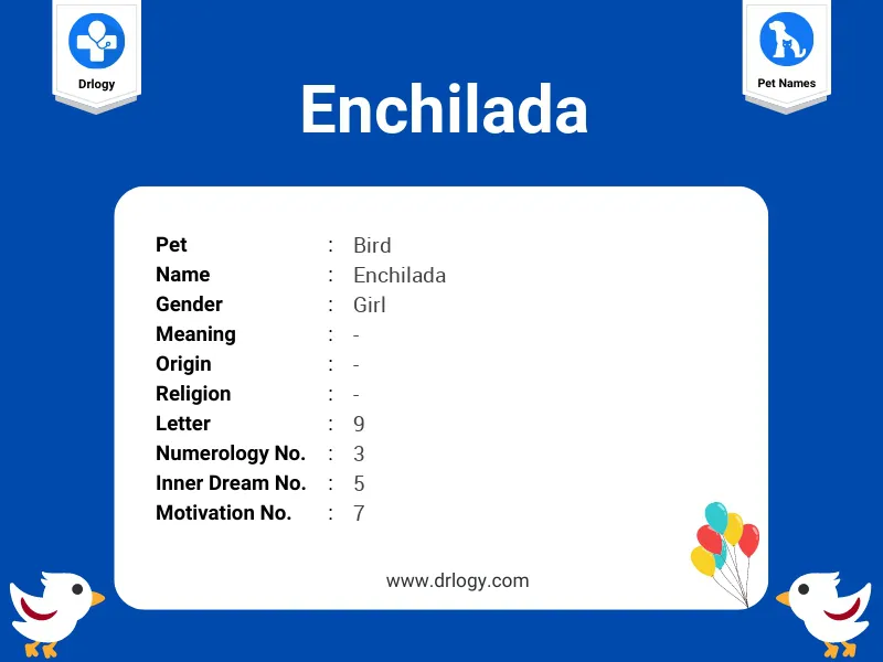 Enchilada Name Meaning
