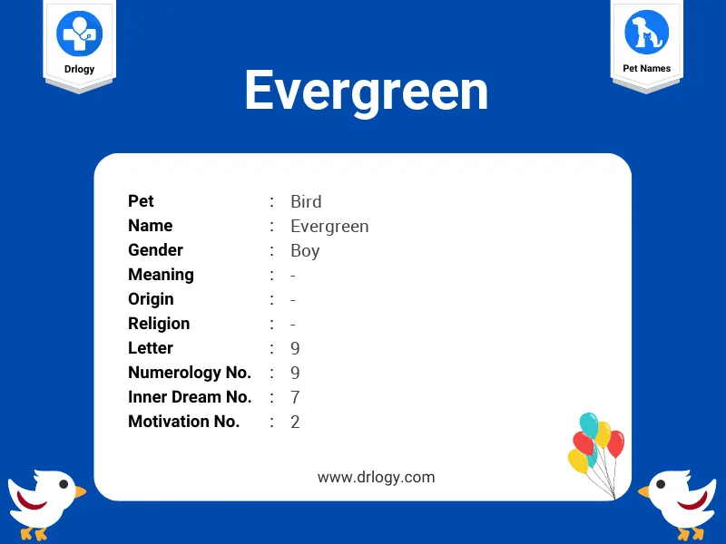 Evergreen Name Meaning
