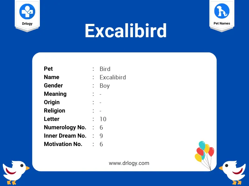 Excalibird Name Meaning