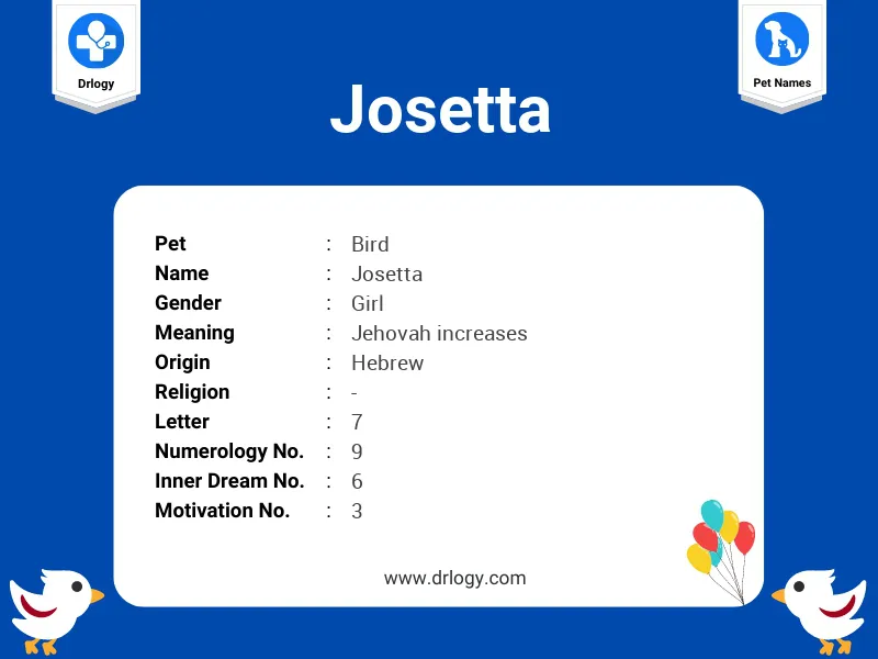 Josetta Name Meaning