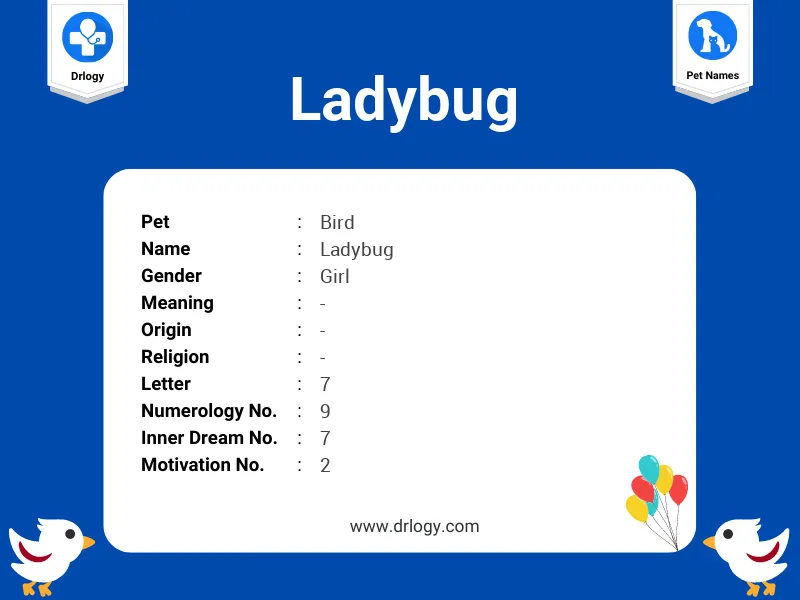 Ladybug Name Meaning