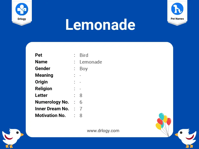 Lemonade Name Meaning
