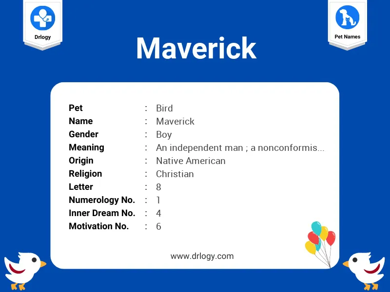 Maverick Name Meaning