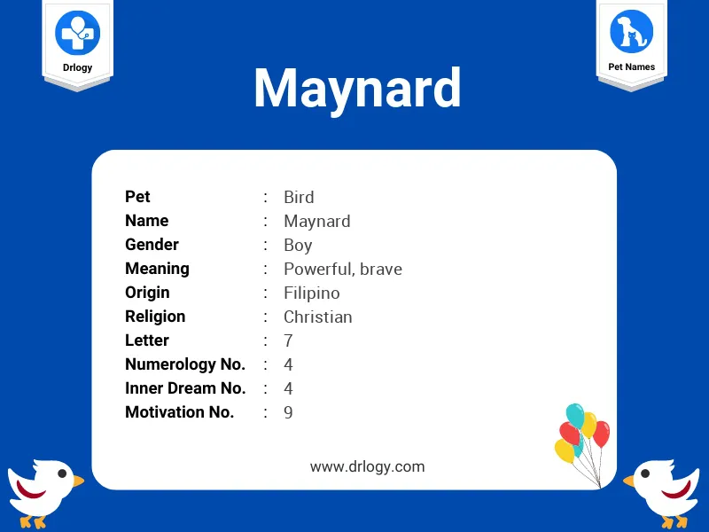 Maynard Name Meaning