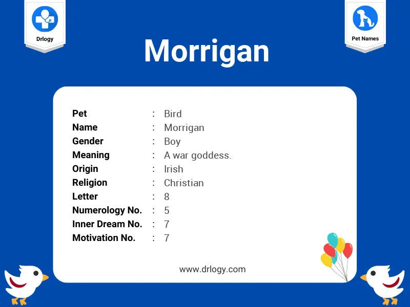 Morrigan Name Meaning
