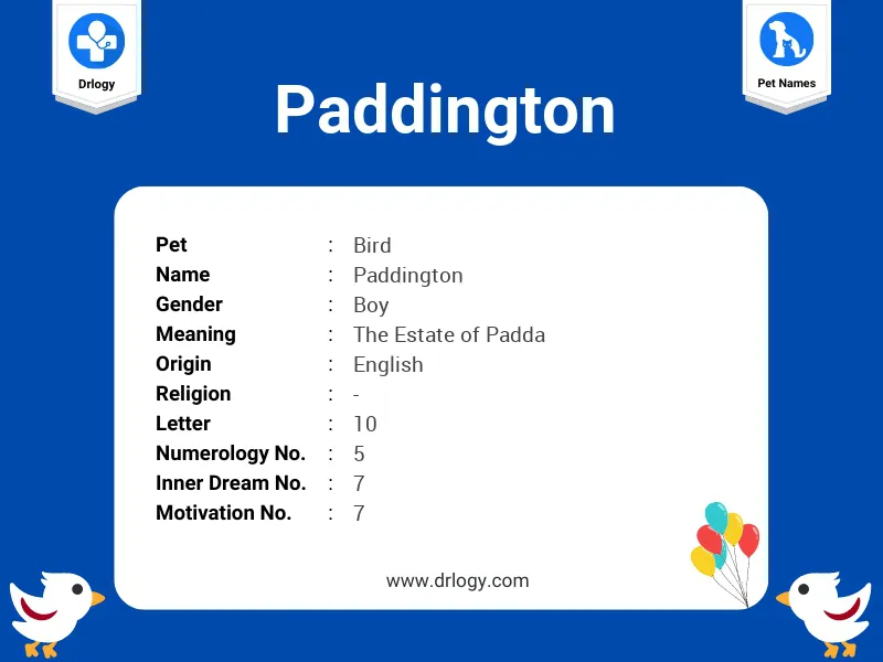 Paddington Name Meaning