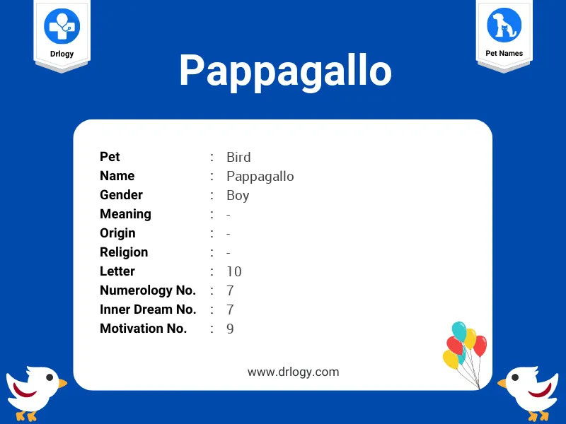 Pappagallo Name Meaning