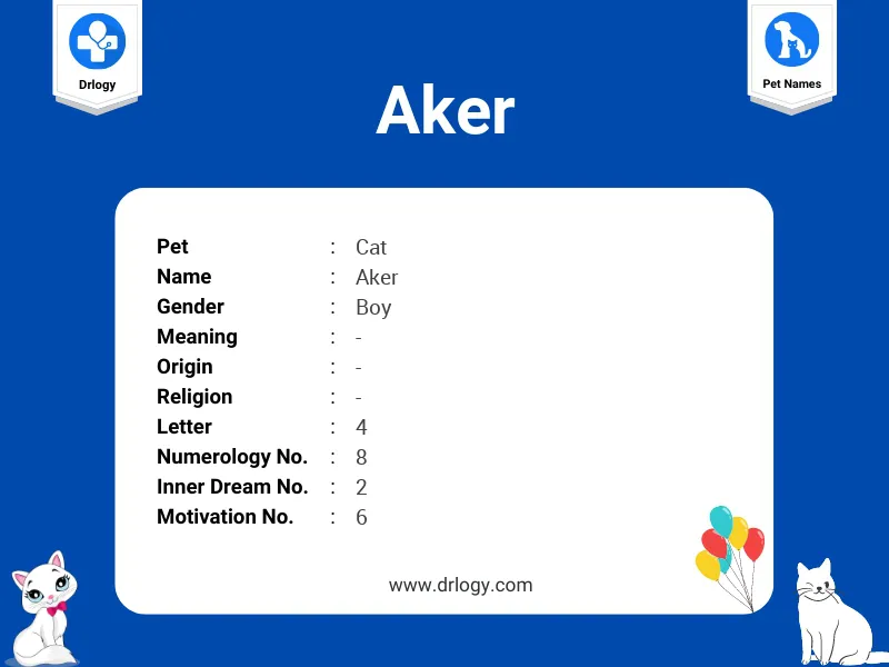 Aker Name Meaning