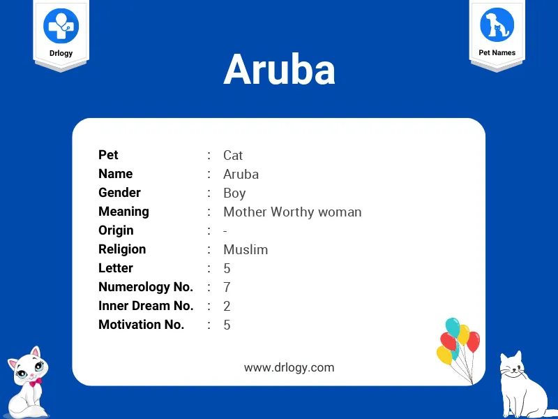 Aruba Name Meaning
