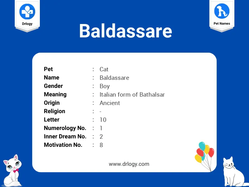 Baldassare Name Meaning