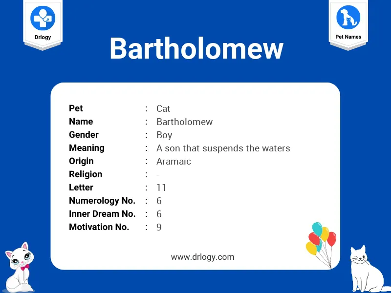 Bartholomew Name Meaning