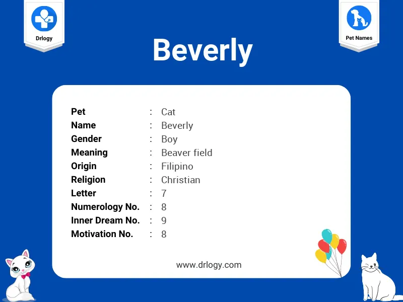 Beverly Name Meaning
