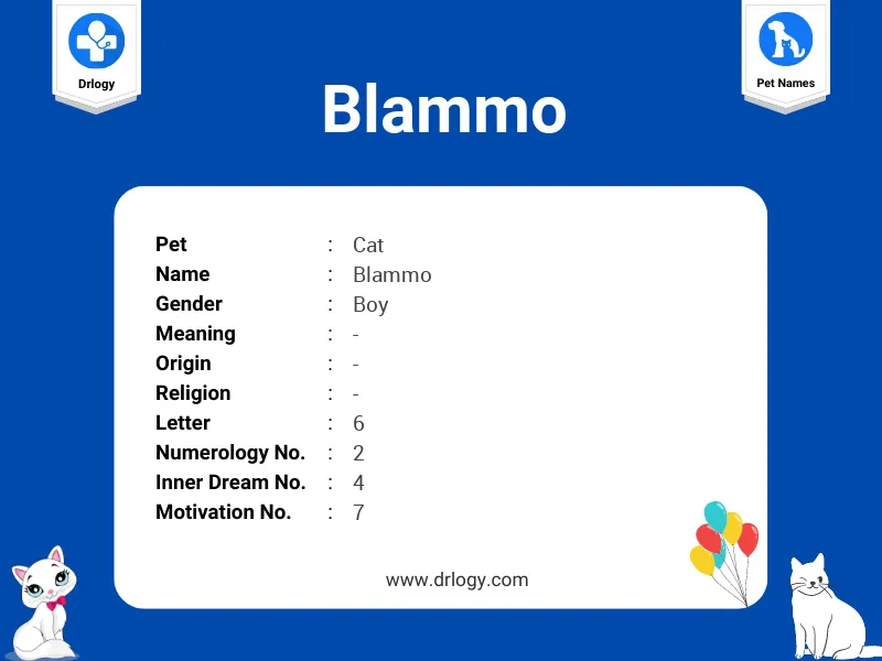 Blammo Name Meaning