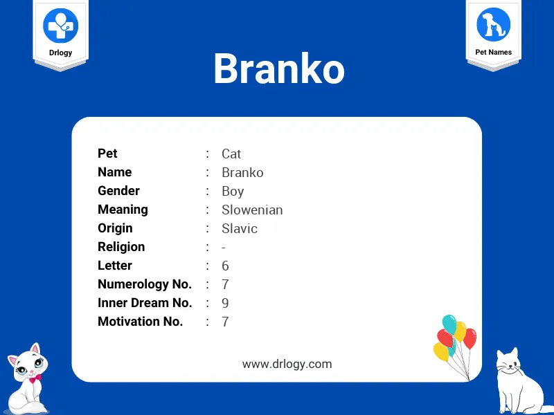 Branko Name Meaning