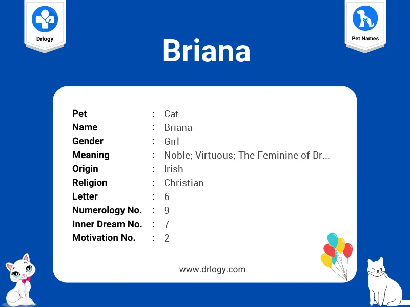 Briana Name Meaning
