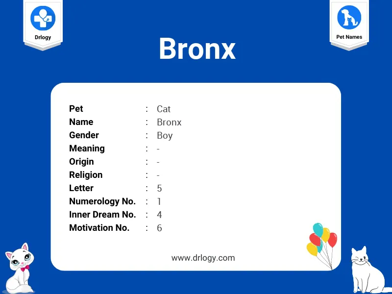 Bronx Name Meaning