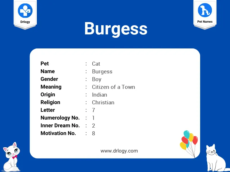 Burgess Name Meaning