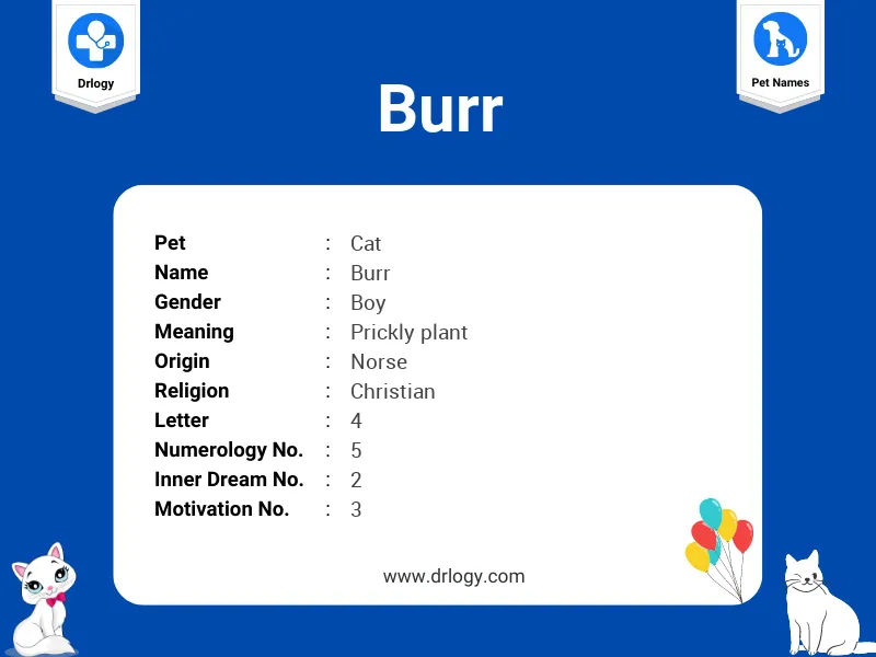 Burr Name Meaning