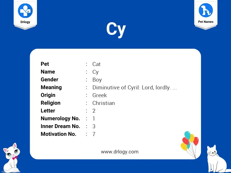 Cy Name Meaning