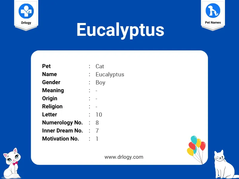 Eucalyptus Name Meaning