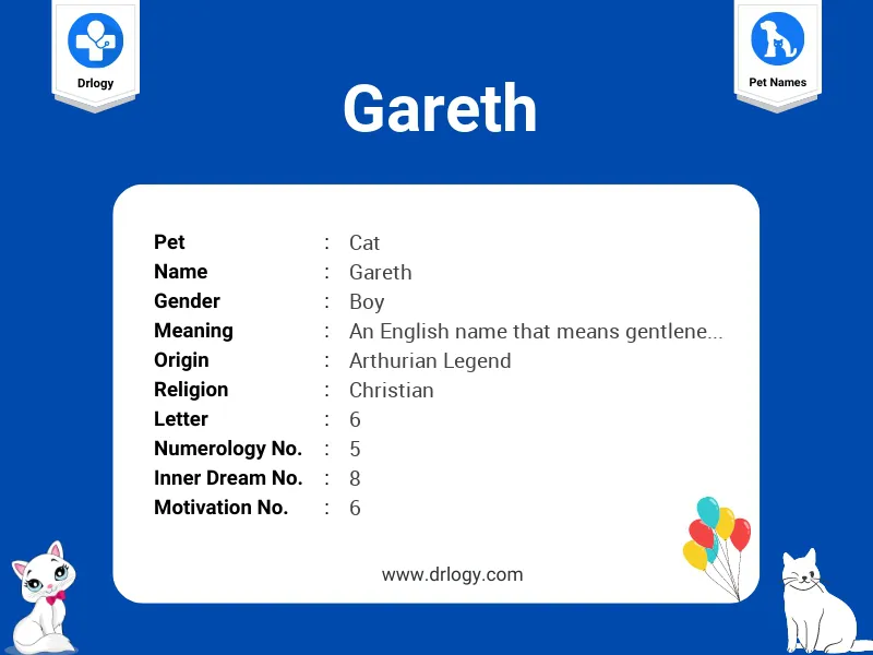 Gareth Name Meaning