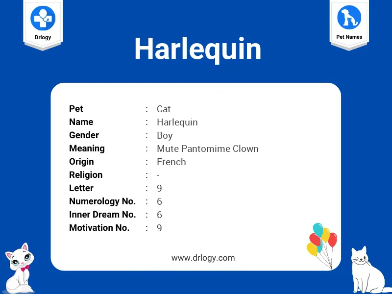 Harlequin Name Meaning