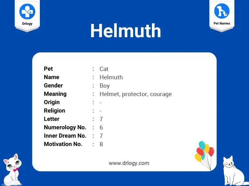 Helmuth Name Meaning Helmuth Name Meaning