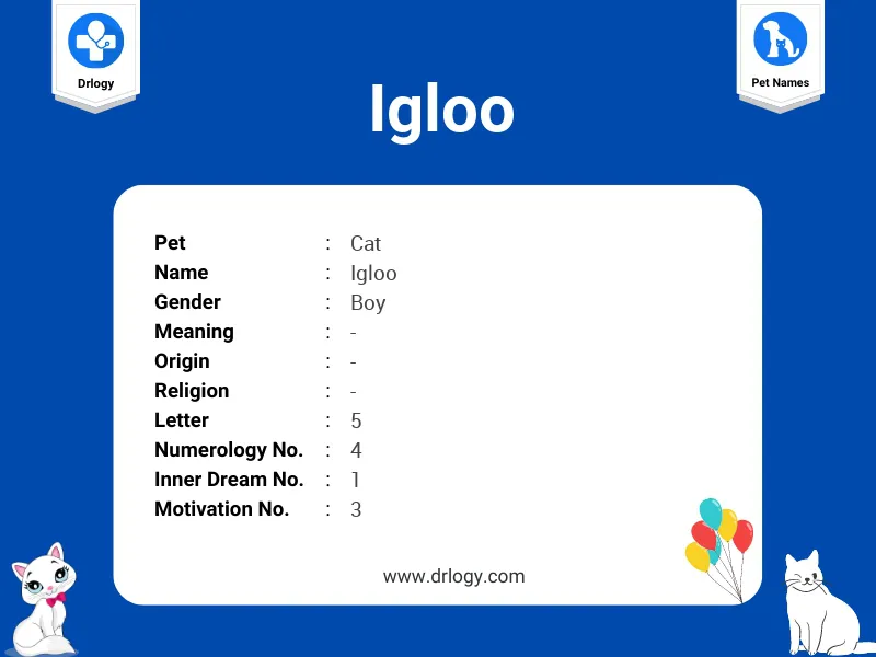 Igloo Name Meaning