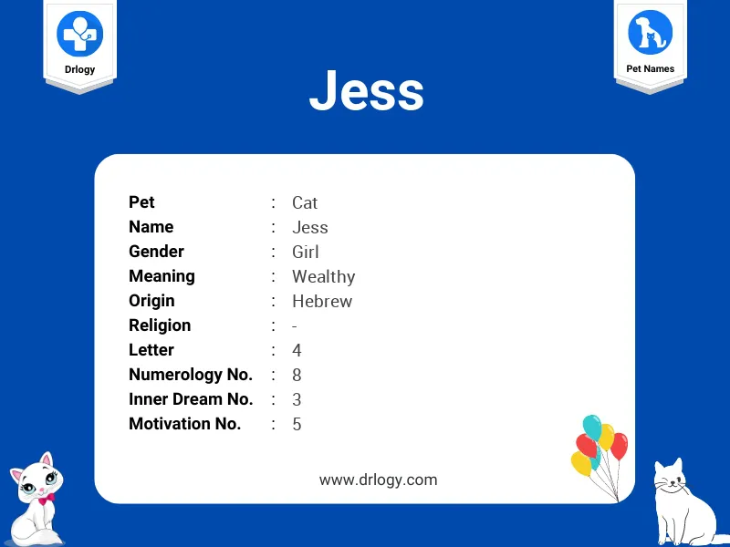 Jess Name Meaning