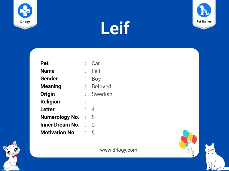 Leif Name Meaning