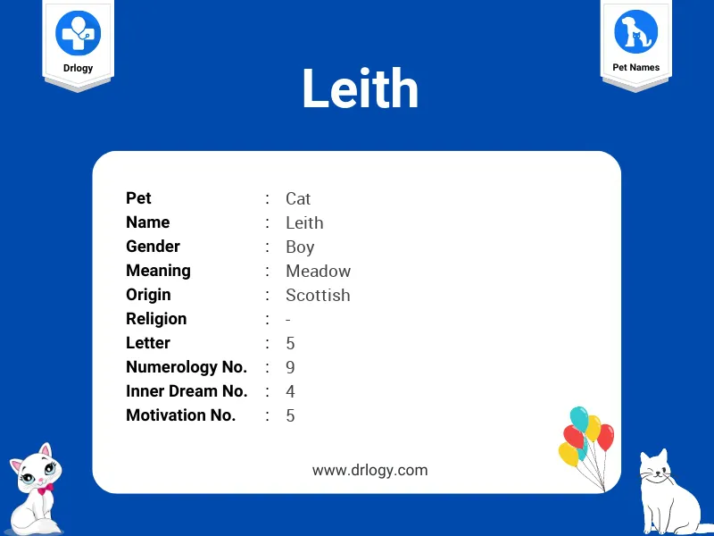 Leith Name Meaning
