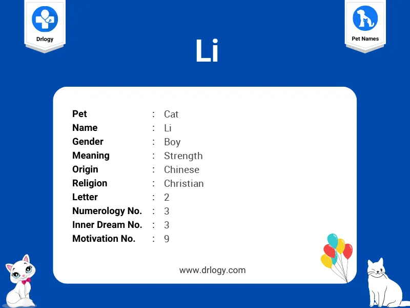 Li Name Meaning